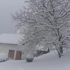Planinska kuća ,,Furtula" Jahorina
