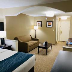 Comfort Inn & Suites Atlanta-Smyrna