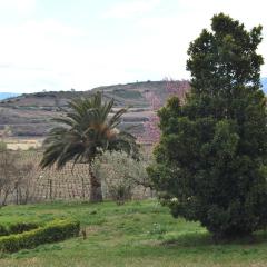 Casa Pichon Etxea