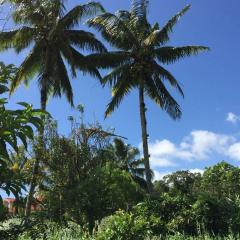 Logement en pleine verdure tropicale -10 min plage