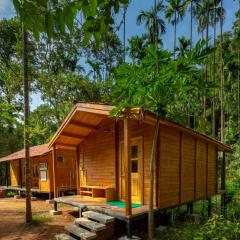 Chalets in Agumbe RainForest