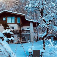 Chalet Happy Family, secluded location, 1000 sqm garden, mountainview, BBQ&bikes&sunbeds for free, up to 14p