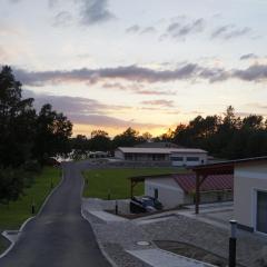 Seeoase Lychen