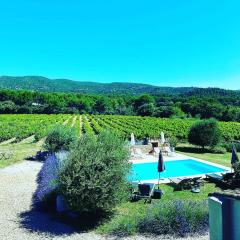 Maison d'hôtes Bastide St Victor à 2,5 kilomètres de Lourmarin