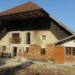 Chalet Alpin