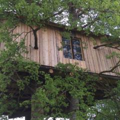 Treehouse Magpies Nest with bubble pool