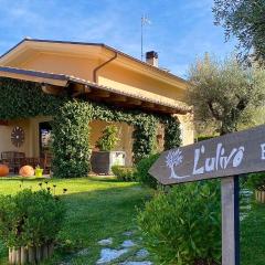 L' Ulivo Bed & Breakfast