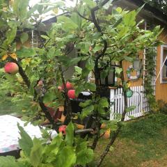 Apple tree cabin with river views