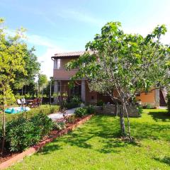 Apartment in Muntic - Istrien 10825