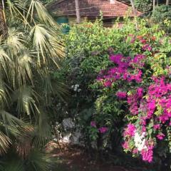 1BHK Luxury Homestay In Betalbatim South Goa 1km from the Beach