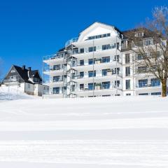 Astenblick Apartments with sauna