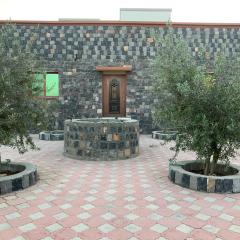 Aljabal Al Akhdar Olive Tree Guest house