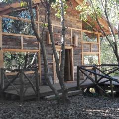 Wonderful rustic cabin, with native trees, with Rio Trancura, equipped
