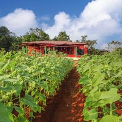 AARYA FARM