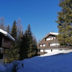 Wonderful Attic in Dolomite's Heart