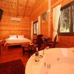 埃米瑞姆氛围山林小屋