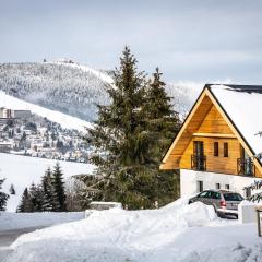 Ski Chalet Klínovec