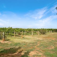 Milawa Vineyard Views - Guesthouse 2