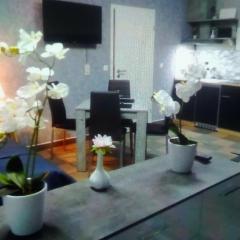 Orchideen Zimmer