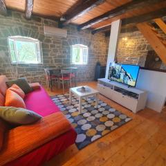 Casa Leonarda, old authentic Istrian stone house near Motovun, central Istria