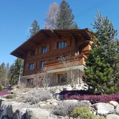 Chalet Grüneggli