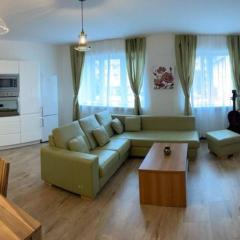 Newly renovated 2 rooms apartment downtown Nitra