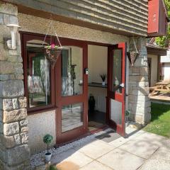44 Trevithick view