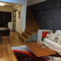 Cozy designer loft near KL city center
