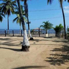 PLAYA BLANCA SANANTERO CORDOBA las palmeras D’JC