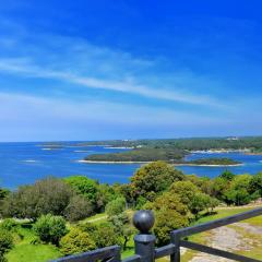 Villa Carla- Istrian Stone Villa with Sea View