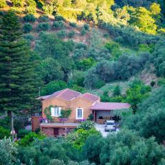 Casa Arokaria