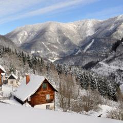 Romantische Ferienhütte Ennstaler Nat Kalkalpen bis 6 Personen