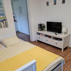 Apartma Liza