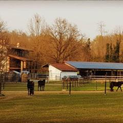 Cameloth B&B