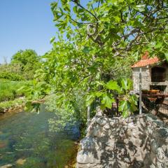 House with large garden right next to the river