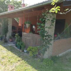 Paun