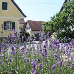 Farmer-Rabensteiner