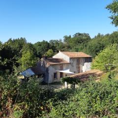 Grand gîte dans son écrin de Nature