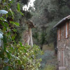 Gîte Almanda - Calme & Nature - Mas Lou Castanea