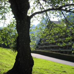 Appartement voor wandel of ski vakantie in Torgon Portes du Soleil