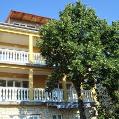 Apartment Ivan J Selce