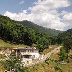 Staulir Affittacamere