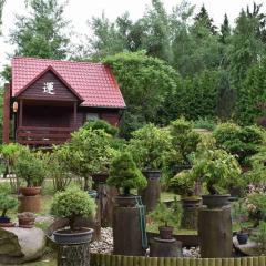 Ogród Shinrin Yoku Odpoczynek w Lesie
