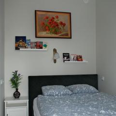 Apartment - Przy Rynku self check in 24h