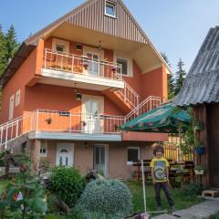 Apartments Dedeic