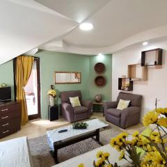 Apartment Stasha with free access to gym