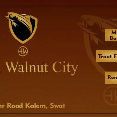 Hotel Walnut City