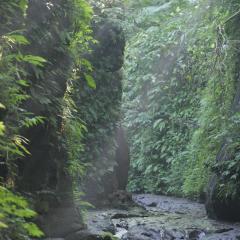 Pramana Giri Kusuma