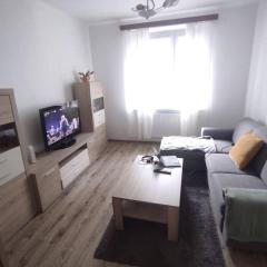 Silent flat with SAUNA in the centre of Bratislava, 7min walking distance to downtown