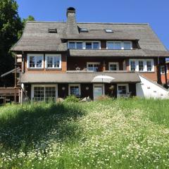 Schwarzwald Landhaus Leonore mit Alpenblick, Erdgeschosswohnung mit großer Gartenterrasse und Parkplatz